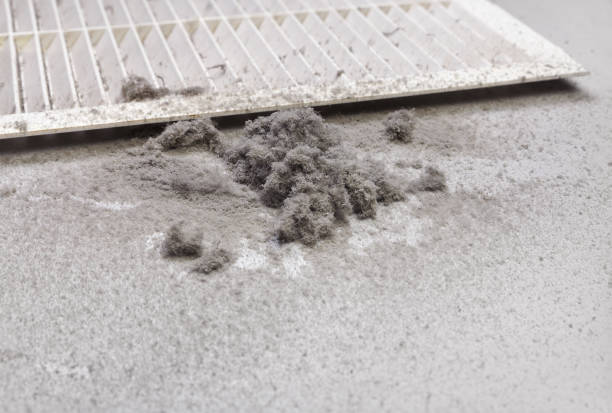 Best Home Air Vent Cleaning  in Somerville, NJ