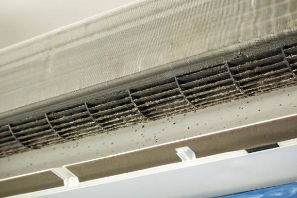 Best Affordable HVAC Duct Cleaning  in Somerville, NJ